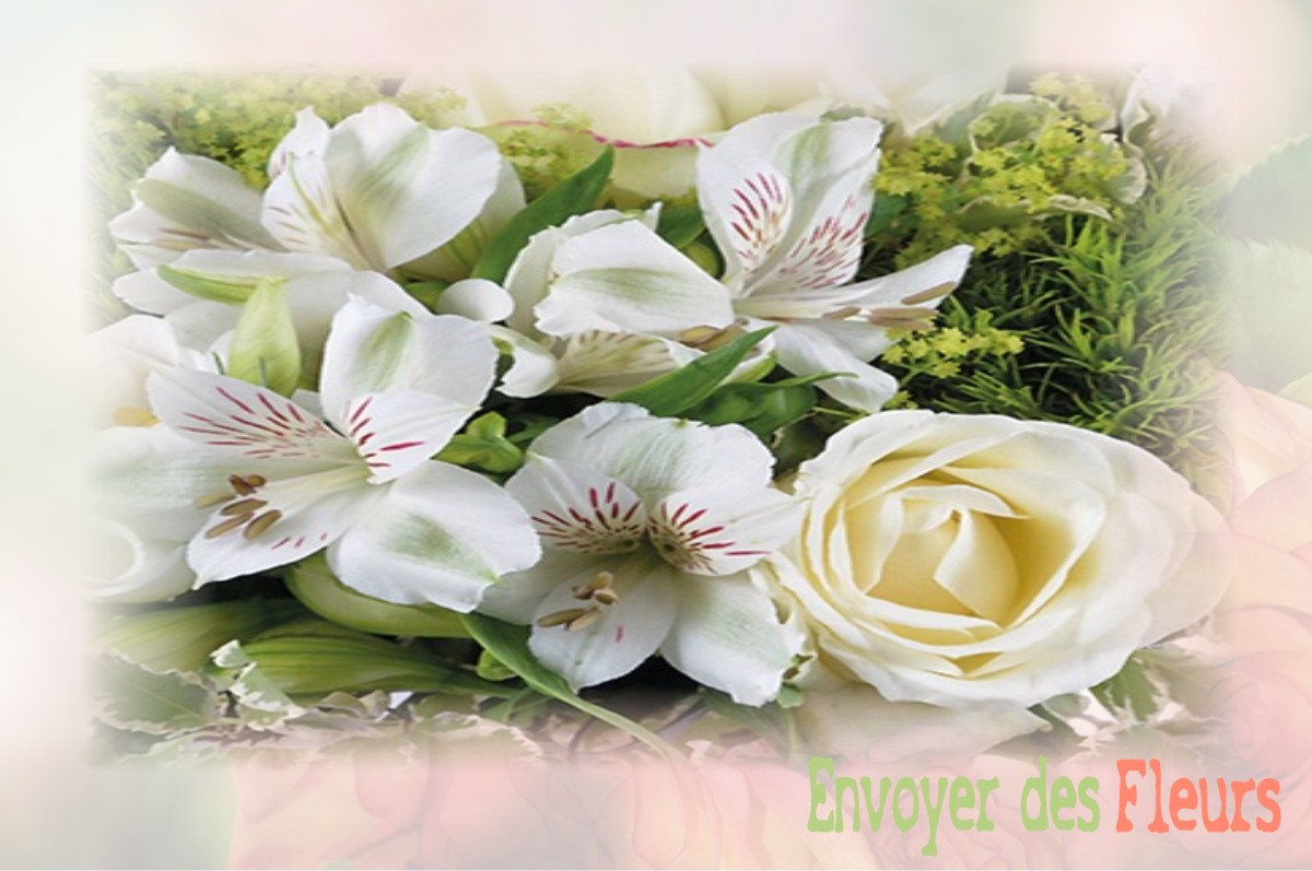 envoyer des fleurs à à BAZOCHES-LES-HAUTES